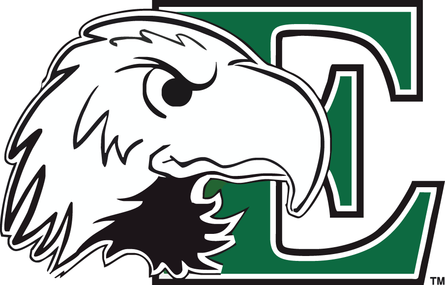 Eastern Michigan Eagles 2003-2012 Primary Logo iron on transfers for T-shirts